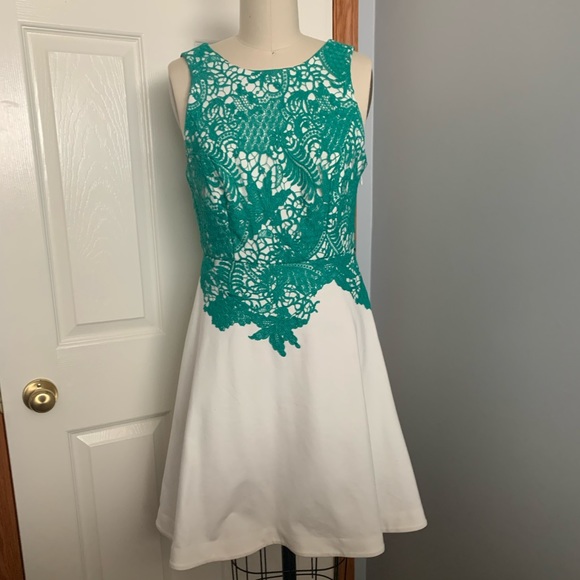 Moulinette Soeurs by Anthropologie Arbor Lace Fit & Flare Dress - Picture 2 of 5